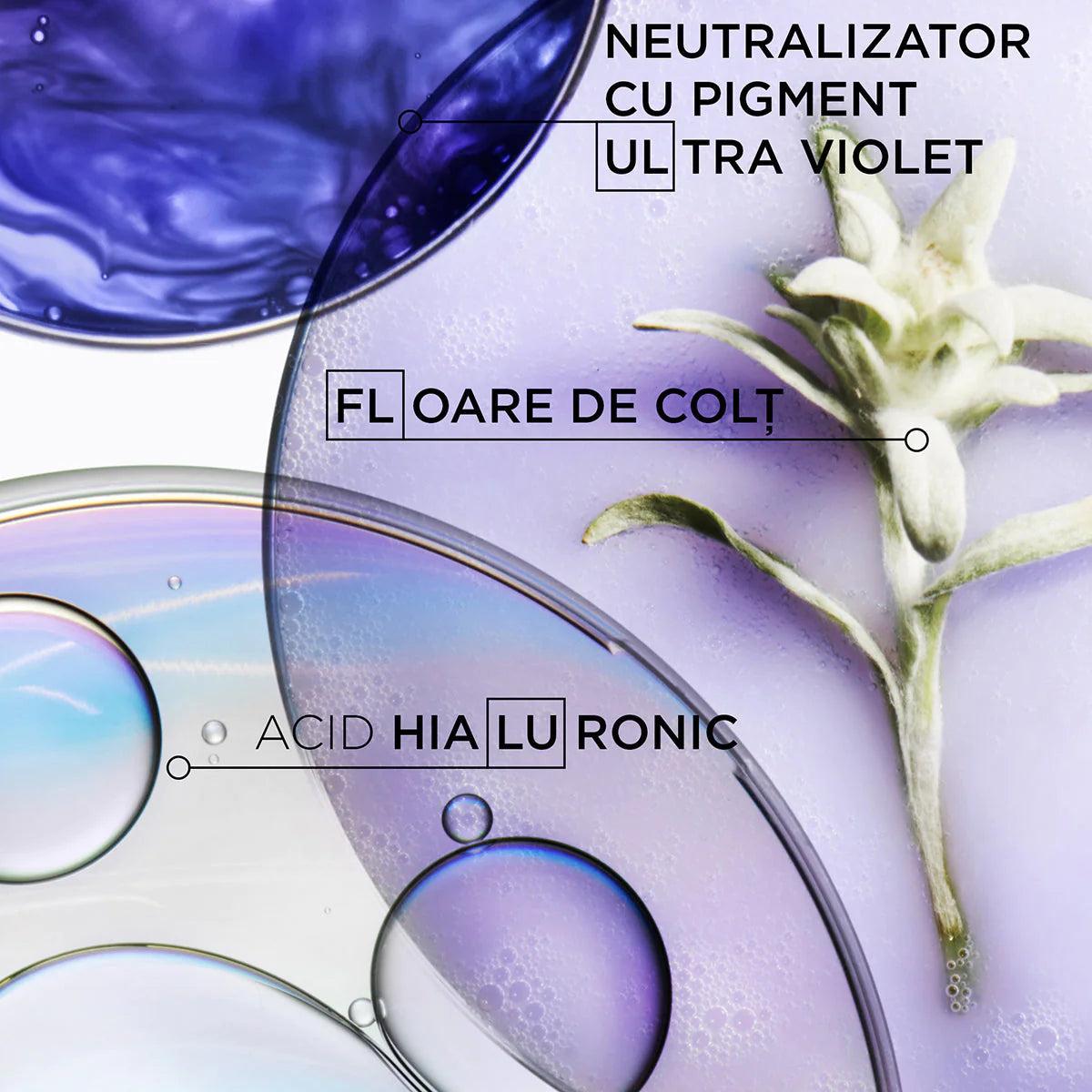 Kerastase Blond Absolu Ultra-Violet Șampon 250 ml