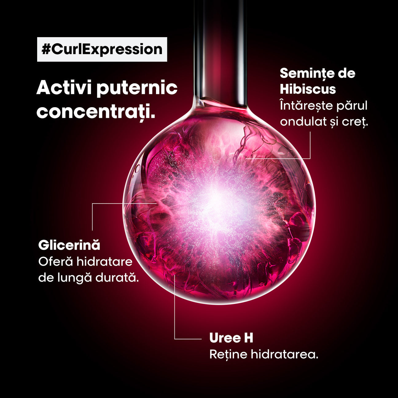 L’Oreal Professionnel Curl Expression Set Duo