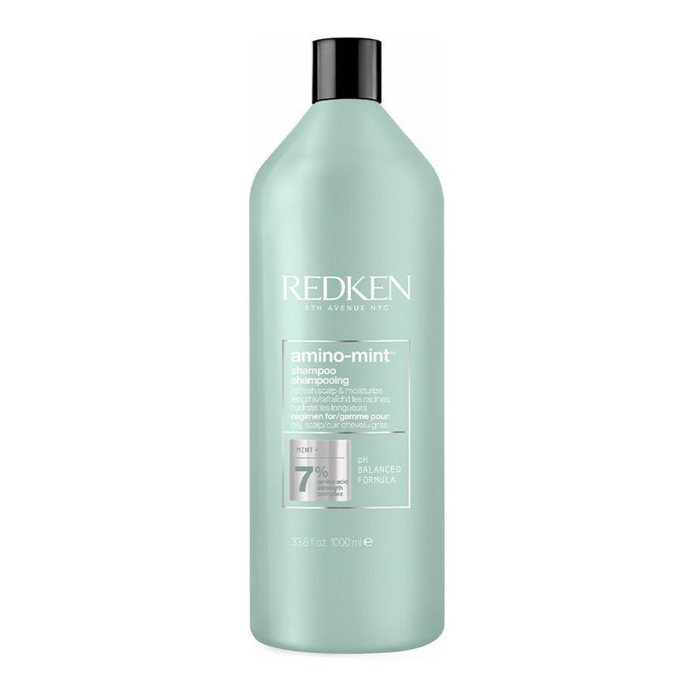 Sampon Redken - Amino Mint - Sampon pentru improspatarea scalpului gras si hidratarea lungimilor 1000 ml;